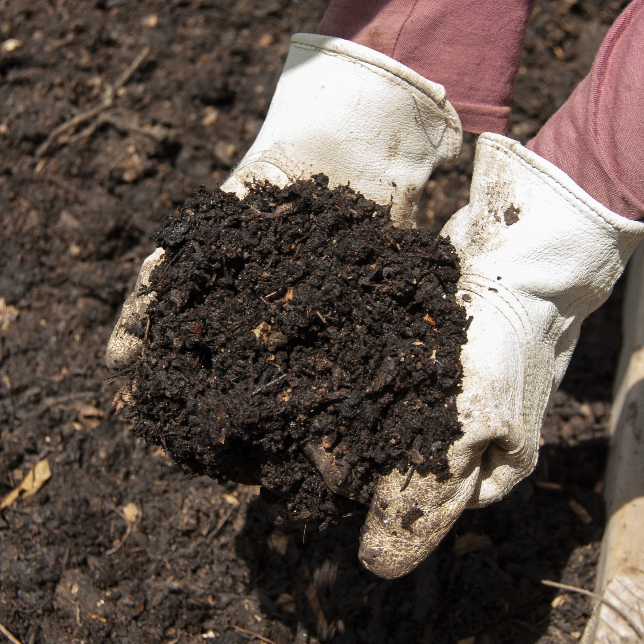 Composting Education